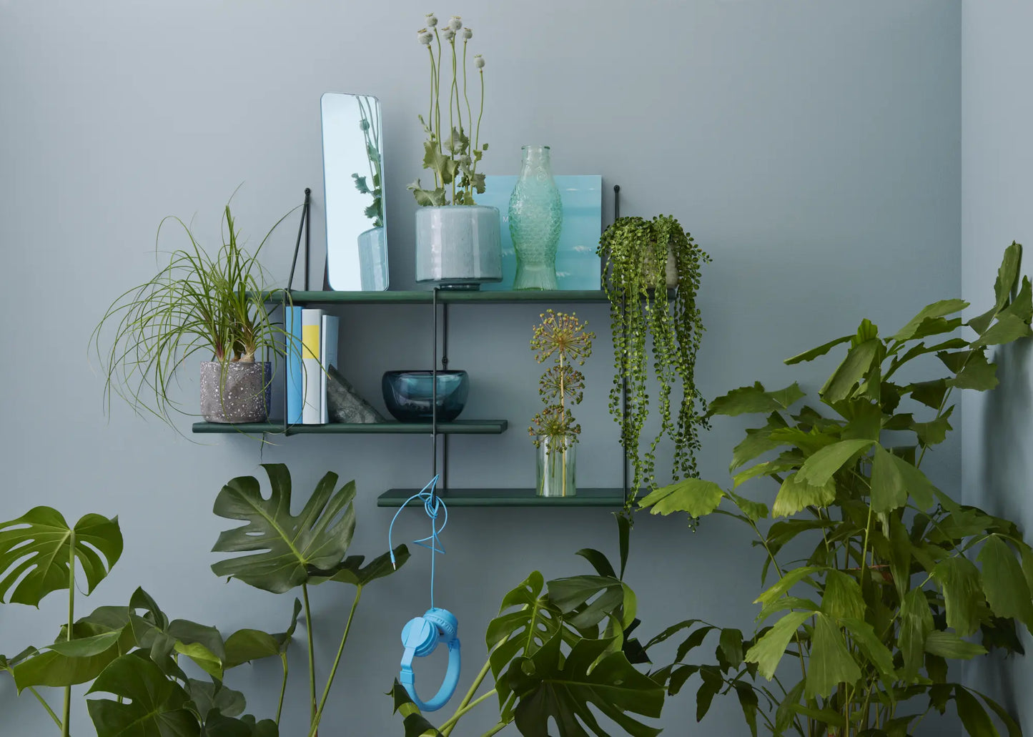 Wandregal Shrink Color