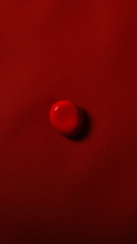 Wandhaken Fossil – Pebble