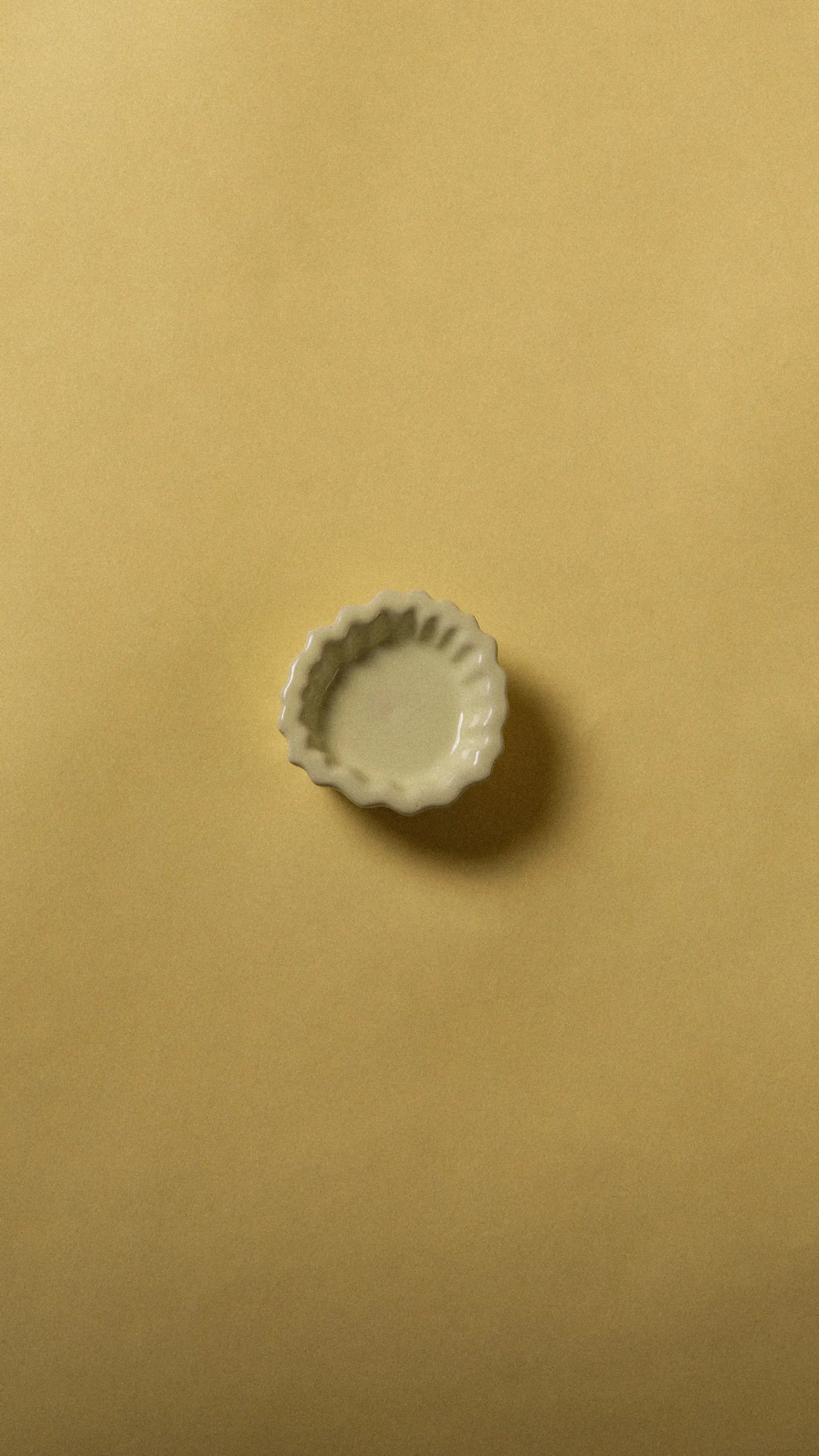Wandhaken Fossil – Coral