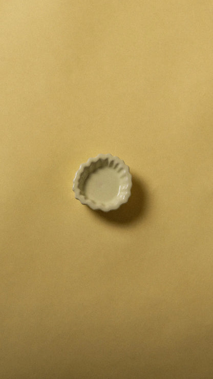 Wandhaken Fossil – Coral