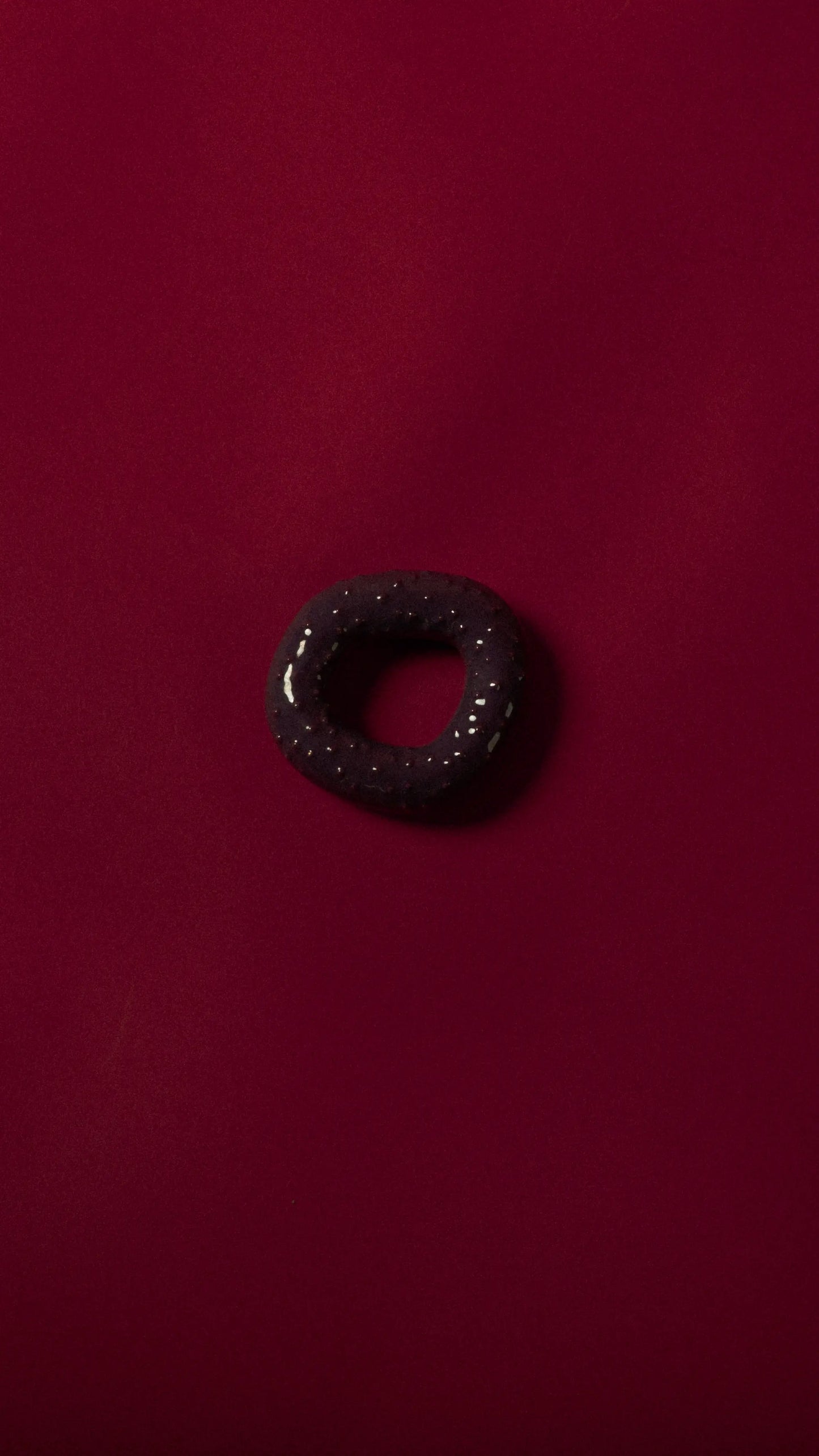 Wandhaken Fossil – Octo