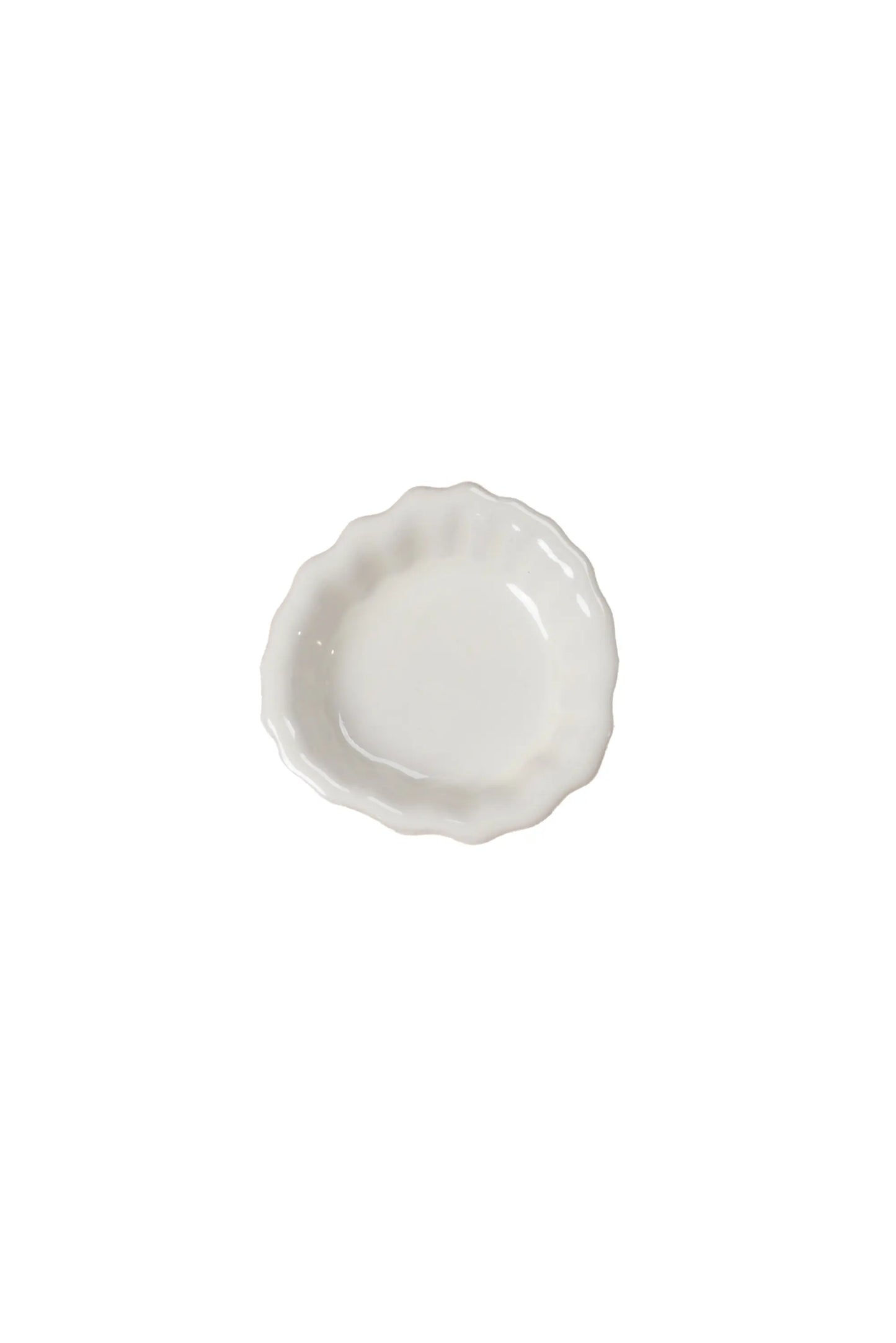 Wandhaken Fossil – Coral