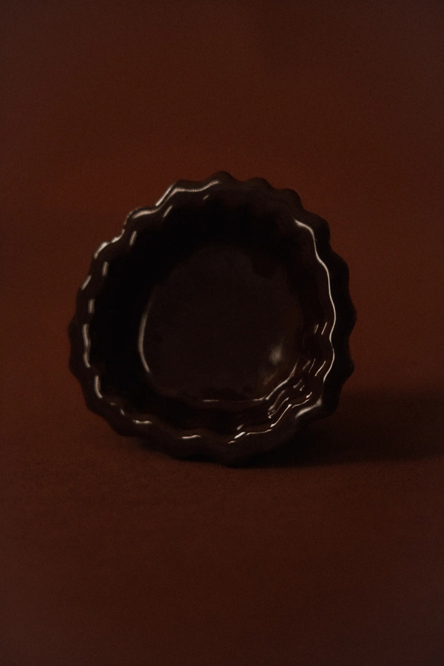 Wandhaken Fossil – Coral