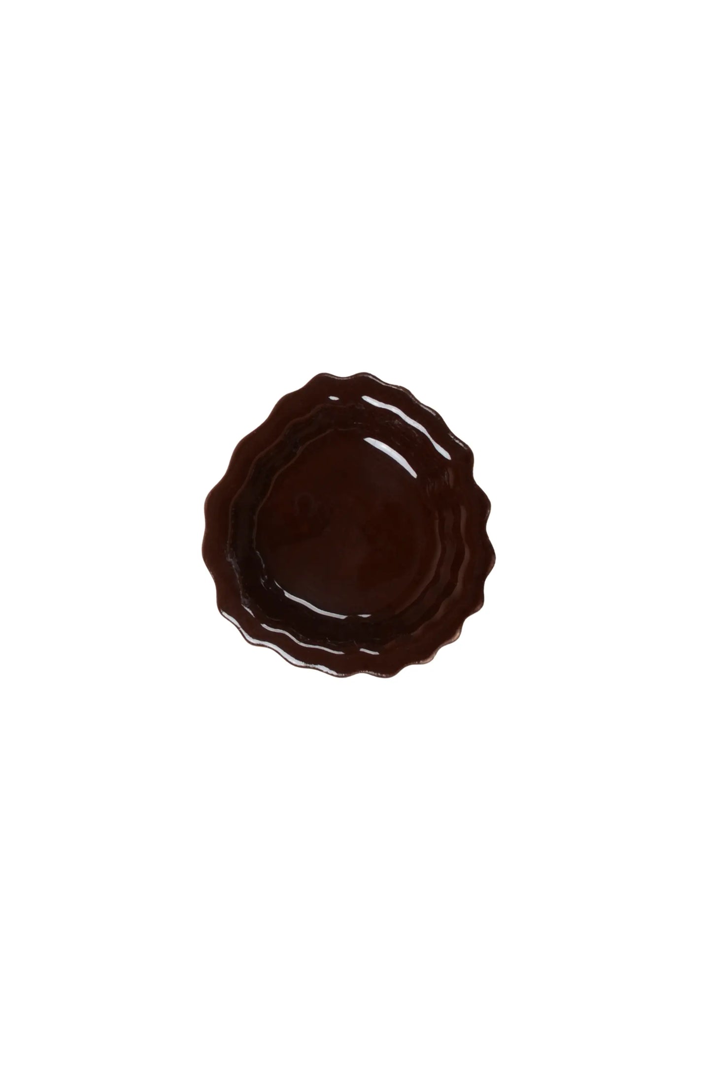 Wandhaken Fossil – Coral