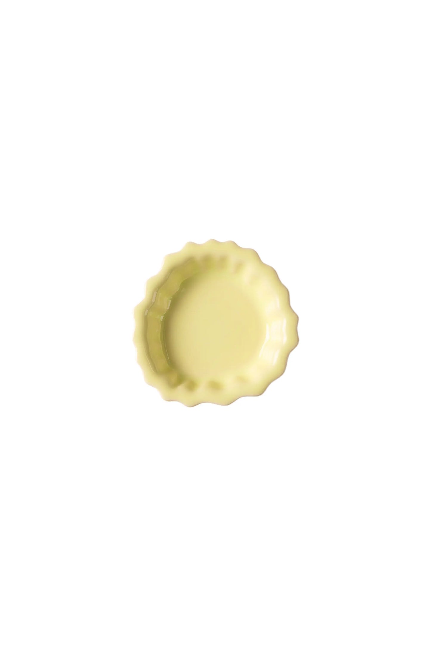 Wandhaken Fossil – Coral